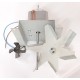 Single coil fan motor with impellers